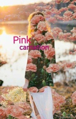 Розовая гвоздика