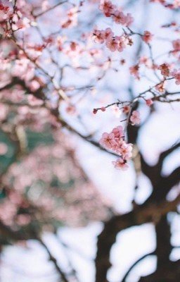 Мой тайный друг