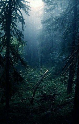 Отправся В Мир