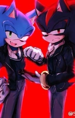 Напарники под прикрытием 