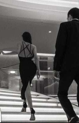 Там, где свет встречает тьму