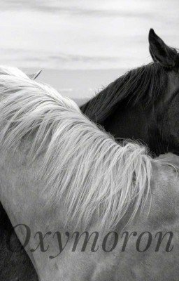 Oxymoron