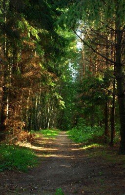 Между небом и землёй 