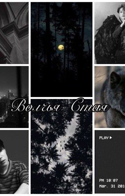 Волчья Стая 