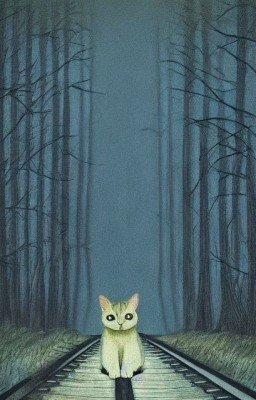 Ночной поезд