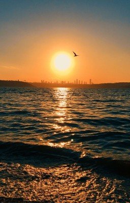 3/Хроники Нарнии. Покоритель Зари.