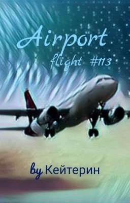 Аэропорт: Рейс #113