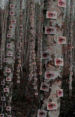 мир глазами их