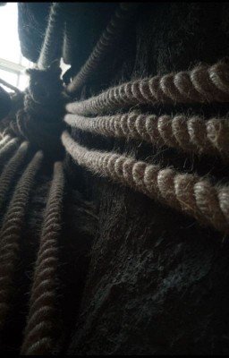 Человек со станции