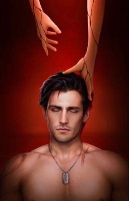 Сансара крыла