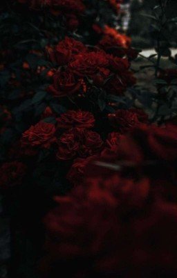 Сатана В Хогвартсе