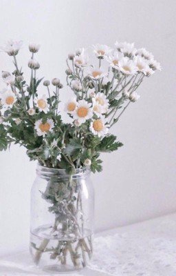 Осень в душу приходит размышлениями.