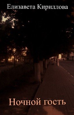 Ночной гость