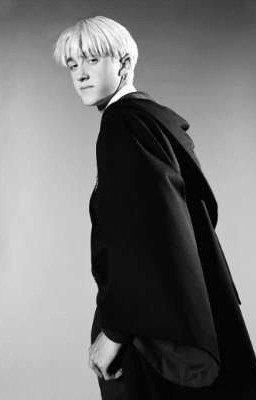 Лилии из моих снов