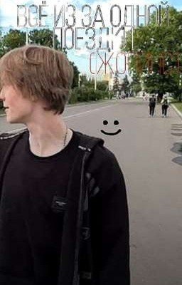 всё из за одной поездки (жопинс)