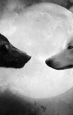 Альфа и Омега. 