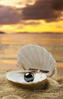 Тайна Жемчужного Ожерелья