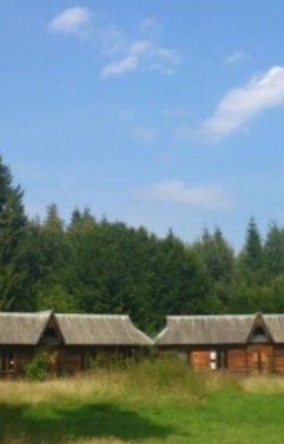 Долгожданная поездка