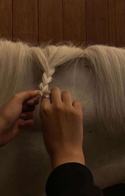 Ченоа. Лошадь-убийца | ʙʏ Lɪssᴀ 