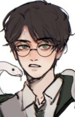 Гарри Поттер и система игрока.