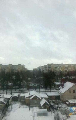 Случай с нашего двора 