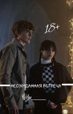 Неожиданная встреча 