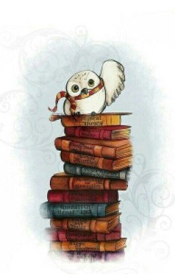 Литература. Вопросы и ответы.