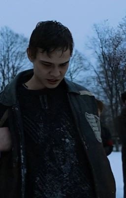 я действительно должна тебе верить, Турбо?