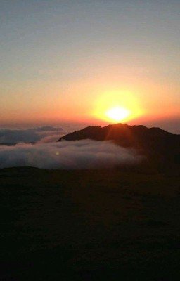 Пастух(Viehknecht)