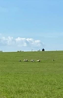 Стихи «природа» 