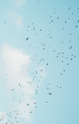 Греет сумрак луч рассвета