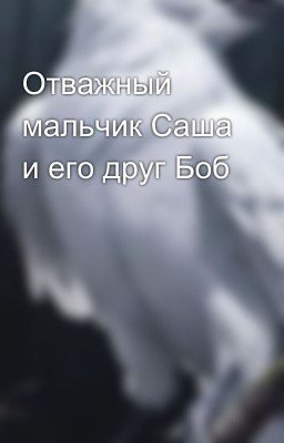 Отважный мальчик Саша и его друг Боб