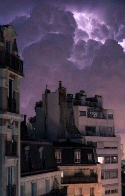 Книжные Стихи