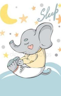 🐘Тихое место🐘