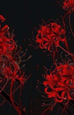 𝗿𝗲𝗮𝗰𝘁𝗶𝗼𝗻 𝗙𝗔𝗡𝗗𝗢𝗠𝗦. ☆