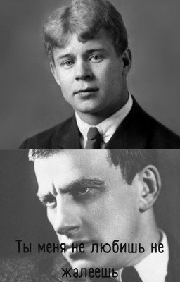 Ты меня не любишь не жалеешь