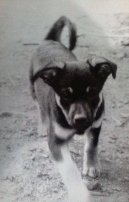 ❣️Пиратушка❣️