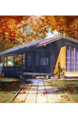 Книжное соло