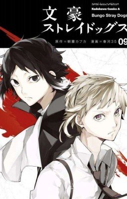 Полёт в ночи