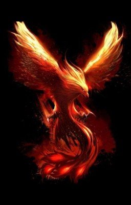 Гарри Поттер и Тень Феникса