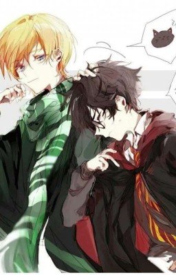 Гарри И Драко