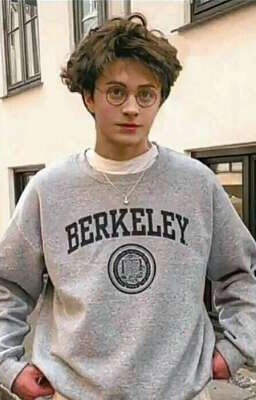 Новый Гарри