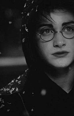 Т/и Снейп и Гарри Поттер (Новое) 