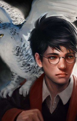 Гарри Поттер [ЗАМОРОЖЕНО]