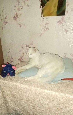 Гарри Поттер. Суд магии. Узник Азкабана