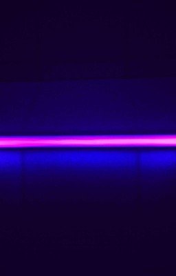 Бессмыслица 