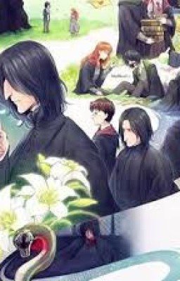 Кровь Принца