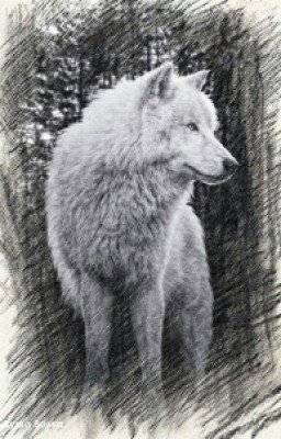 Я и Мой Зверь...-продолжение