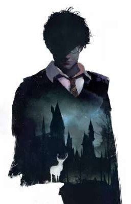 Гарри Поттер: Я подарю тебе счастье 