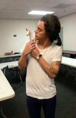 Гарри и Единорог